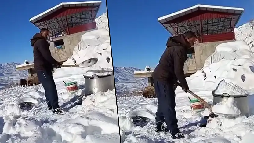 Siirt'te köylüler hayvanlarına eritilmiş kar suyu içiriyor