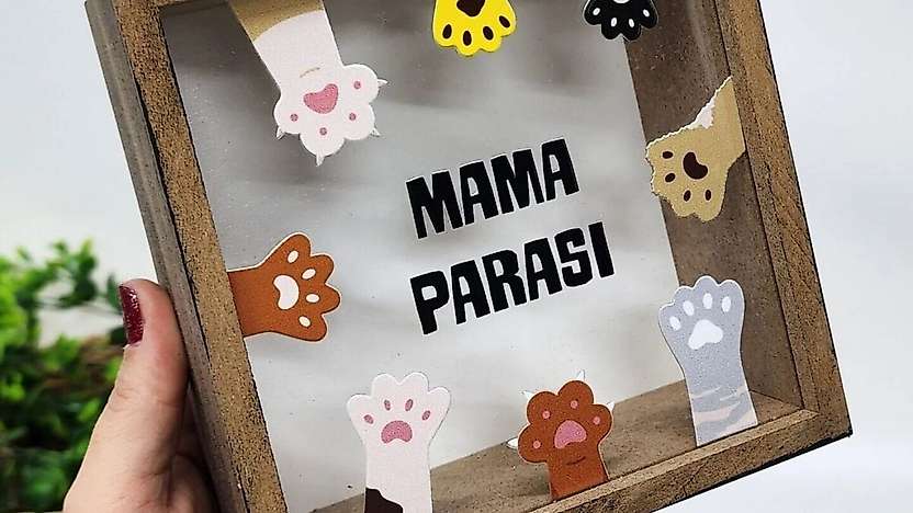 Siirt'te İzinsiz Mama Desteği Toplayan Kişiye 948 Bin TL İdari Para Cezası