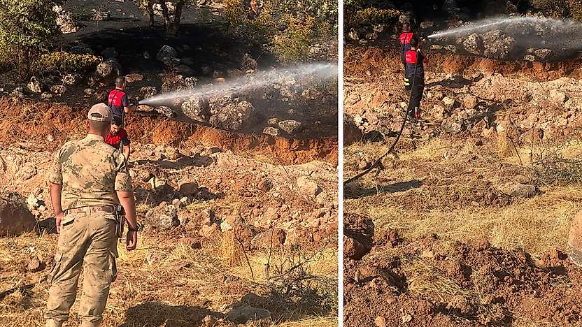 Siirt'te Orman Yangını: Yaklaşık 100 Dönüm Alan Zarar Gördü
