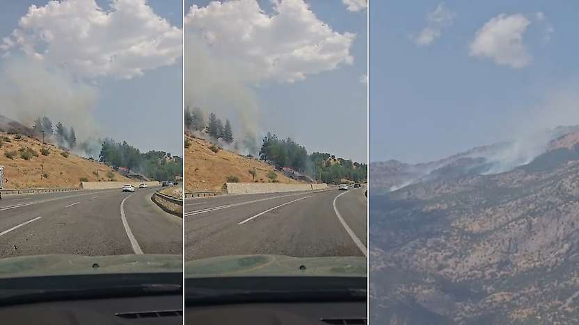 Siirt'te Orman Yangınları: 2 İlçe ve Üç Bölgede Ekipler Seferber Oldu