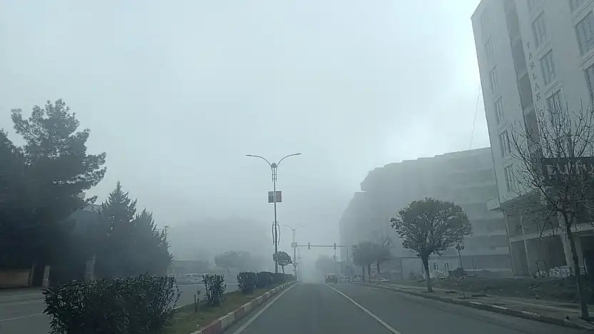 Siirt'te sis etkili oluyor! Görüş mesafesi 50 metreye düştü