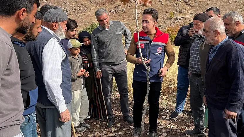 Siirt'te Üreticilere Fıstıkta Budama Eğitimi Verildi