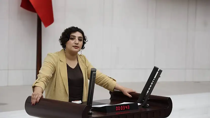 Siirt'te Vatandaşların Karşı Çıktığı HES Meclis Gündeminde