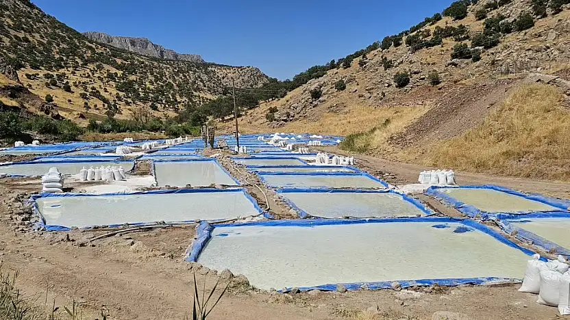 Siirt'te Yılda 550 Ton Üretiliyor! Tuzcular Köyü'nün Ekonomiye Katkısı Büyüyor