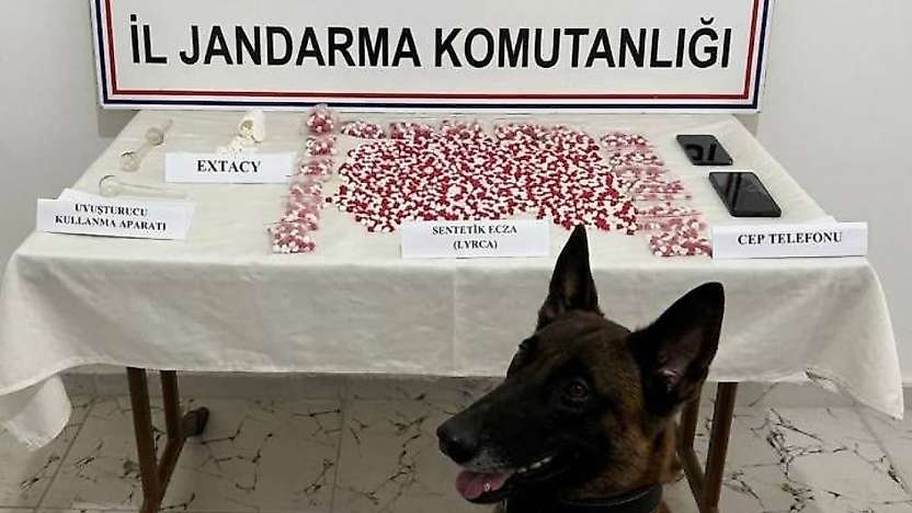 Siirt'te Yolcu Otobüsünde 2 Bin 650 Uyuşturucu Hap Ele Geçirildi