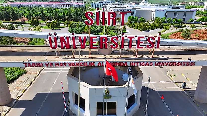 Siirt Üniversitesi Öğretim Elemanı Alacak: İşte Kadrolar Ve Başvuru Şartları