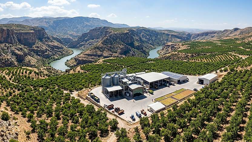 Siirt Urfa'nın Kaderini Yaşayabilir: Siirt Fıstığı Tescil Aldı Ama Ticaretini Alamadı