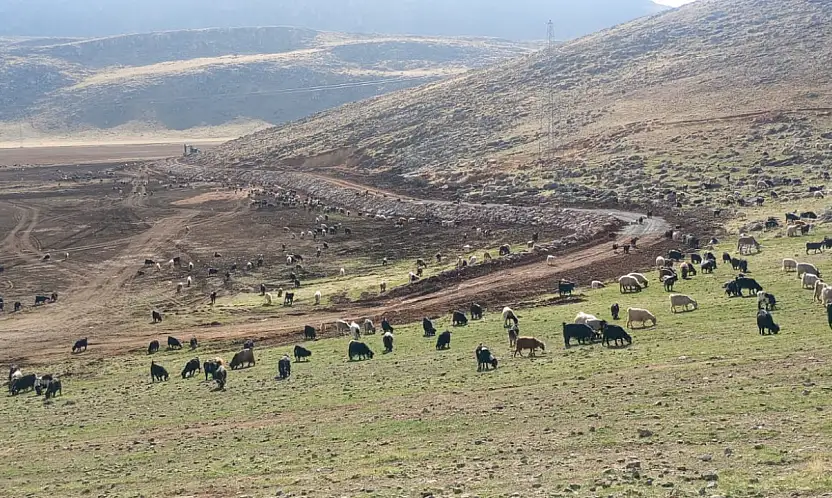Artı Siirt Gündeme Getirdi! Valilik El Attı! Siirt'in En Büyük Gölü Yeniden Hayat Bulacak