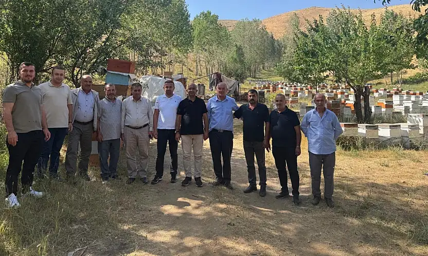 Bal Hasadı Başlıyor: Siirtli Arıcıların Sahadaki Durumu Yerinde Görüldü