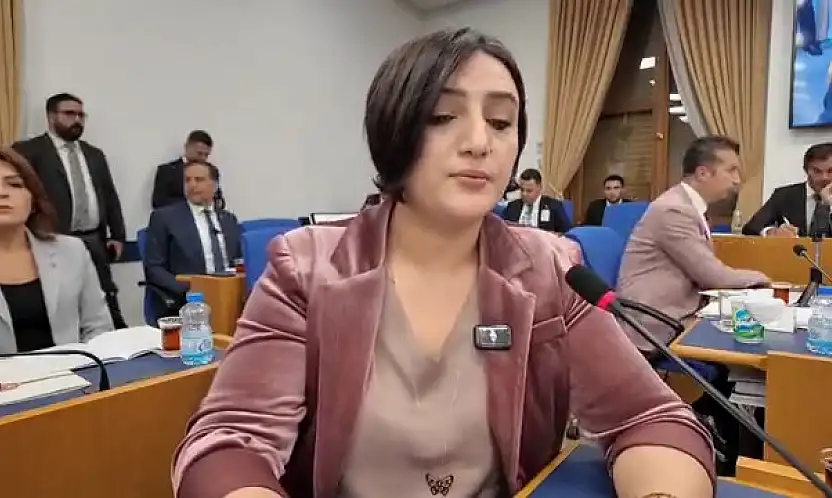 DEM Parti Siirt Milletvekili Sarıtaş, Siirt'in Turizmde Geri Planda Kalmasını Meclis Gündemine Taşıdı