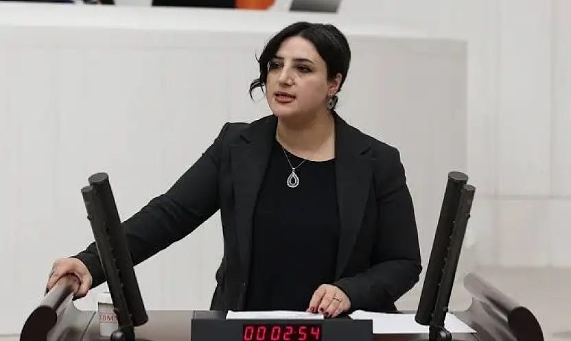 DEM Parti Siirt Milletvekili Sarıtaş TBMM'de Emekçilerin Sorunlarını Gündeme Taşıdı