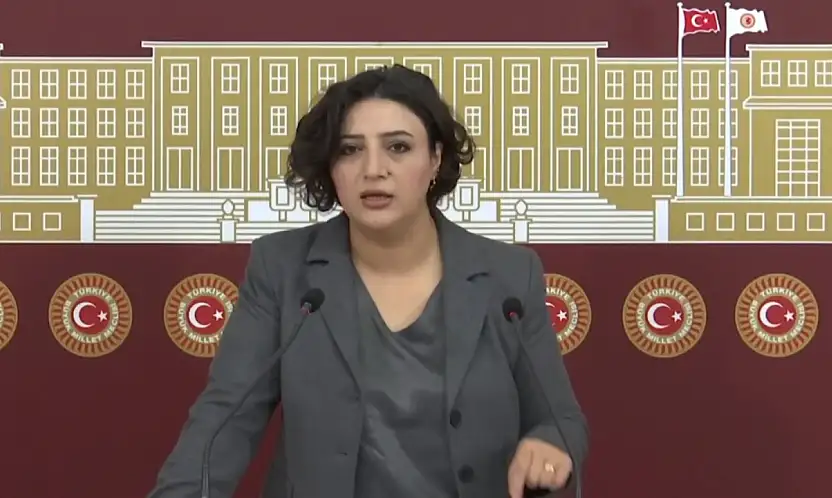 DEM Partili Sarıtaş, Siirt'in Kronikleşen Sorunlarını Meclis Gündemine Taşıdı