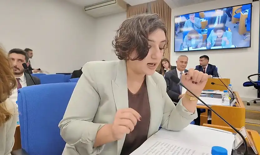 DEM Partili Sarıtaş'tan İnternet Altyapısı Eleştirisi: ''Türkiye Hızlanmıyor, Zamlanıyor''