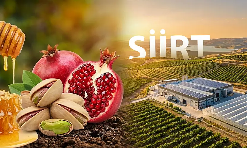 Doğudan Yükselen Bereket: Siirt Tarımda Büyük Atılım Peşinde