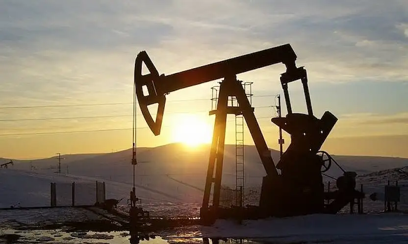 Enerji Bakanlığı'ndan Siirt ve Batman'da Petrol İşletme Onayı! 11 Yıl Aynı Firma İşletecek