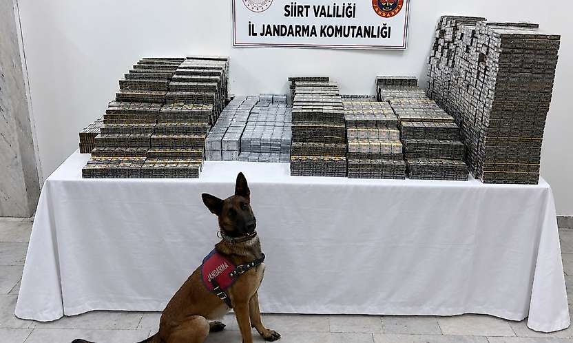 Kömür Çuvallarının Arasına Gizlediler: Siirt'te 700 Bin TL'lik Kaçak Sigara Yakalandı