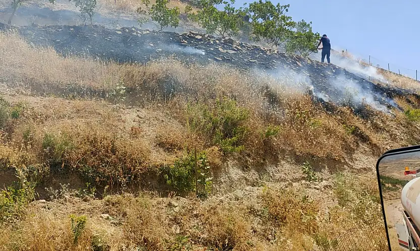 Kurtalan'da Fıstık Bahçesi Yangını: 95 Ağaç Zarar Gördü