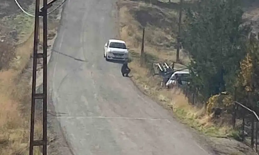 Siirt Kurtalan'da maddi hasarlı kaza