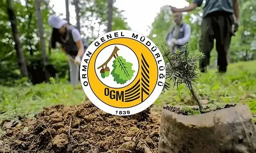 Orman Genel Müdürlüğü 496 Personel Alacak: Siirt'e de 1 Şoför Kadrosu Açıldı