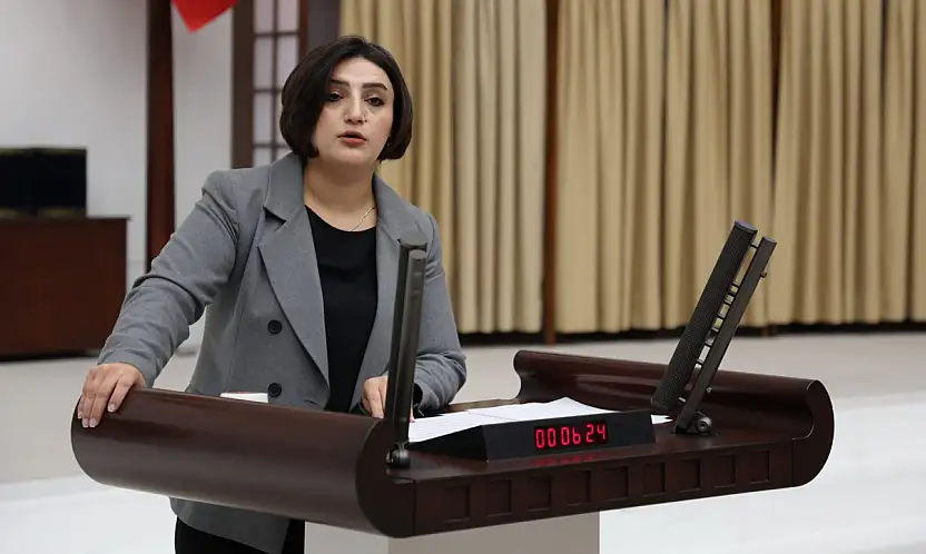 Sabahat Erdoğan Sarıtaş, Siirt'teki İntihar Vakalarını Meclise Taşıdı: 'Önleme Planınız Var Mı?'