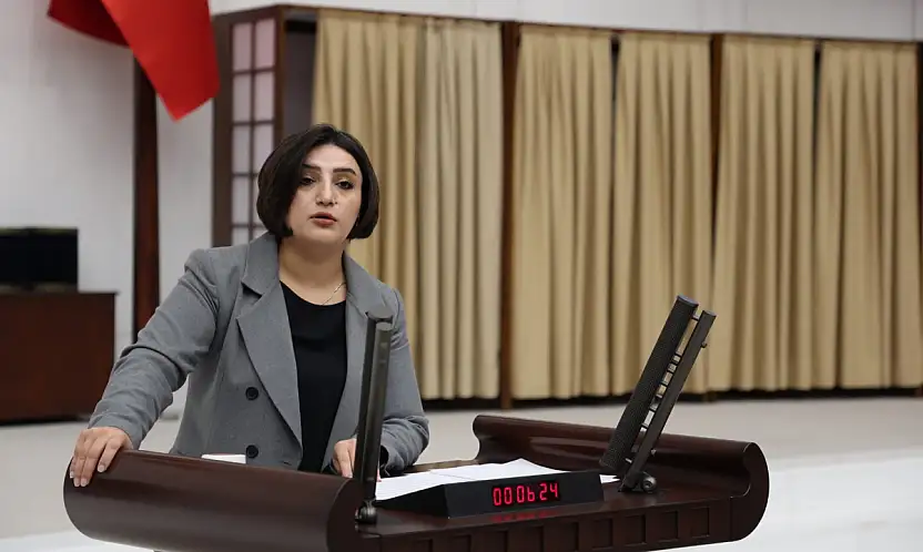 Sabahat Erdoğan Sarıtaş'tan Kadına Yönelik Şiddette Cezasızlığa Bakanlıklara Karşı Soru Önergesi!