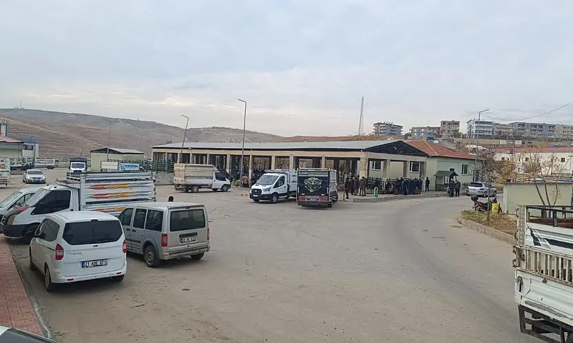 Sağlık Kontrolleri Tamamlanan Siirt Hayvan Pazarı 5 Ay Aradan Sonra Yeniden Açıldı!