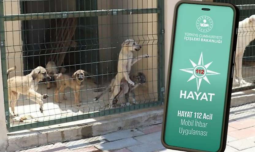 Siirt 112'den Sokak Hayvanları İçin Hayat112 Uygulaması Uyarısı