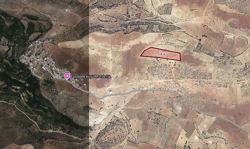 Siirt 16 bin 884 metrekare tarla icradan satışa çıkarıldı