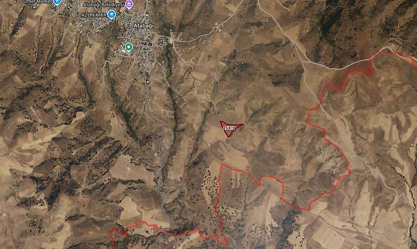 Siirt Baykan'da 14 Bin Metrekarelik Bağ İcradan Satışa Çıkarıldı