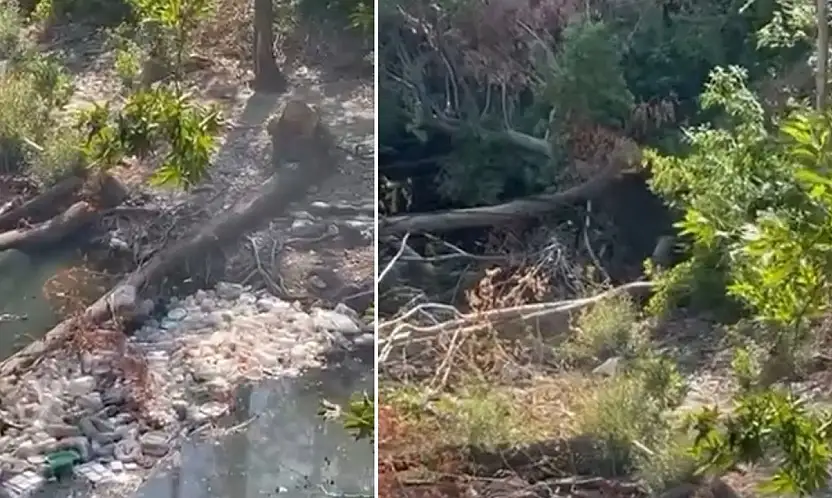 Siirt Baykan'daki Destumi Piknik Alanında Ağaç Kesimi ve Çevre Kirliliği Tepkisi