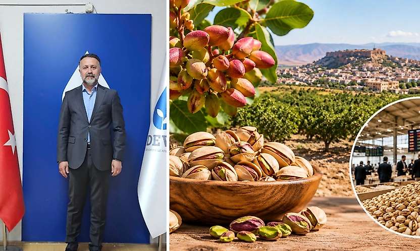 Siirt Fıstığı İçin Önemli Çağrı: Pazar ve Borsa Kurulmalı