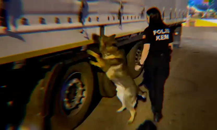 Siirt'in de Aralarında Bulunduğu 73 İlde Uyuşturucu Operasyonu: 935 Tutuklam