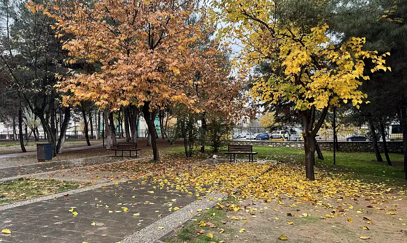 Siirt'in Göbeğinde Renk Cümbüşü! Soğuk havada sıcak bir manzara