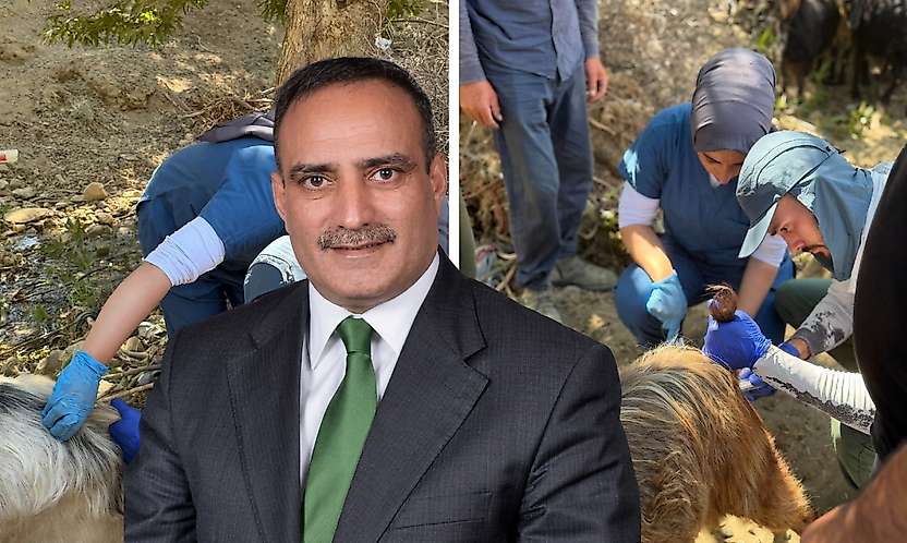 Siirt Küçükbaş Hayvancılığında Yeni Dönem: 1.500 Keçide Suni Tohumlama Yapıldı
