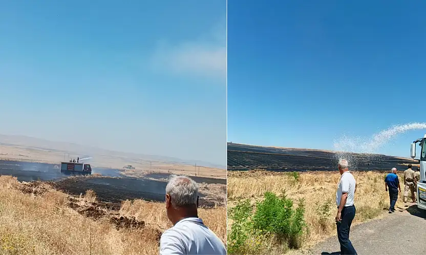 Siirt Kurtalan'da Büyük Yangın: Yüzlerce Dönüm Buğday Kül Oldu