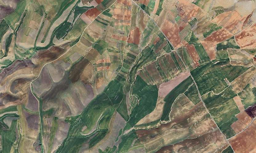 Siirt Kurtalan'da Hazineye Ait 5 Taşınmaz Satışa Çıkarıldı