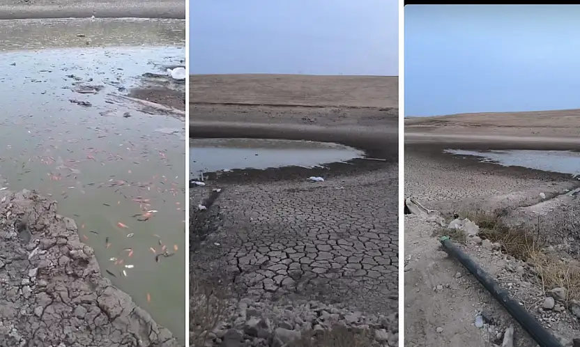 Siirt Kurtalan'da Kuraklık Alarmı: Çayırlı Köyü Gölündeki Balıklar Ölüm Tehlikesiyle Karşı Karşıya