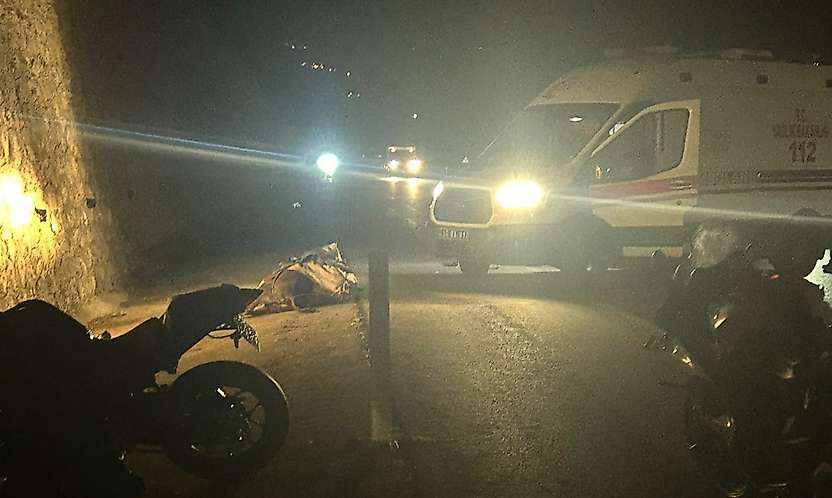 Siirt-Kurtalan yolunda motosiklet eşeğe çarptı: Sürücü yaralandı