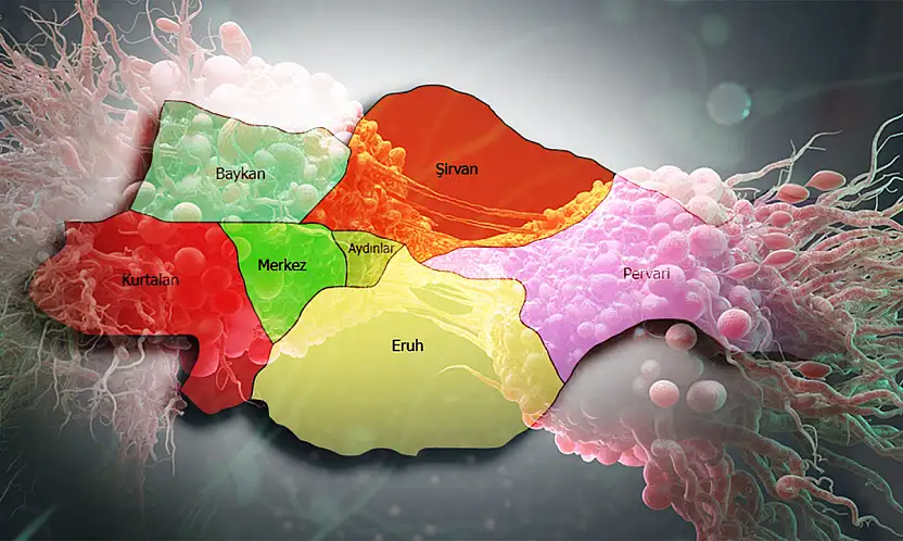 Siirt Listenin En Alt Sırasında! TÜİK 2022 Verileri Açıklandı: Kanser Ölümlerinin En Yüksek ve En Düşük Olduğu İller