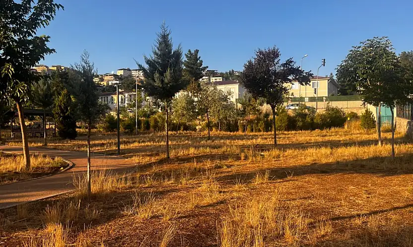 Siirt Millet Bahçesi'nde Çimler Bakımsızlık Nedeniyle Kurudu