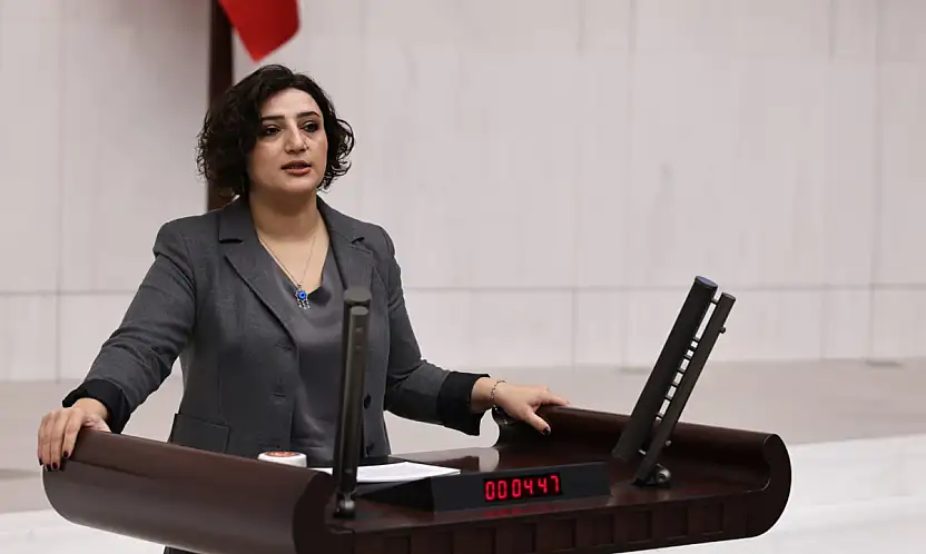 Siirt Milletvekili Sarıtaş'tan ''Epstein Dosyaları'' İçin Meclis Araştırması Talebi