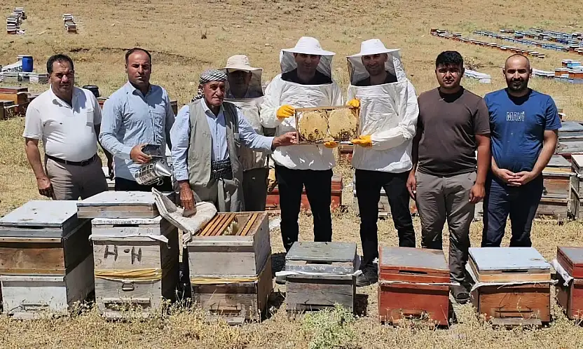 Siirt Pervari'nin Bal Mesaisi Çema Kari Yaylası'nda Sürüyor
