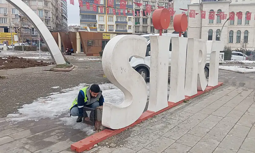 Siirt'te 15 Temmuz Demokrasi Meydanı'nda Yenileme Çalışmaları Başladı
