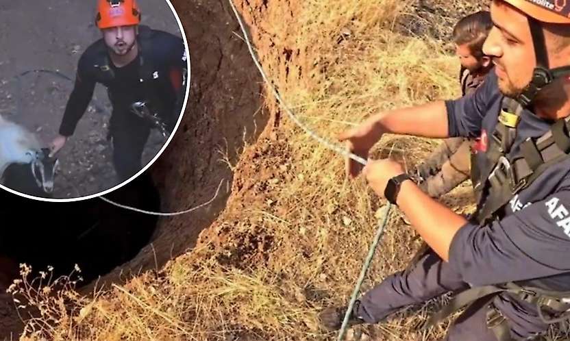 Siirt'te 30 Metrelik Obruğa Düşen Keçi AFAD Ekiplerince Kurtarıldı