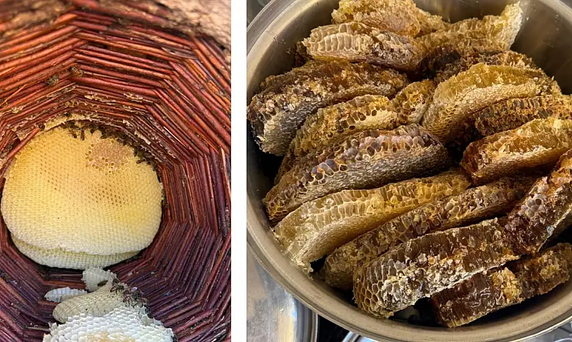 Siirt'te 5. Kuşak Arıcılık Geleneği: Balın Her Şeyi Arıya Ait