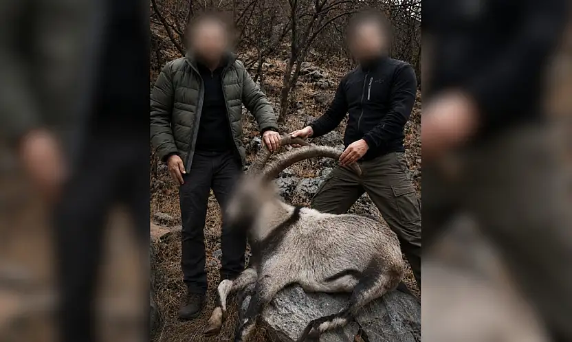 Siirt'te 6 Yıl Önce 5 Yaban Keçisini Kaçak Avlayan Şahıslar Tespit Edildi