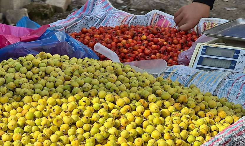 Siirt'te alıç tezgâhlarda: Kilosu 100-150 TL arasında