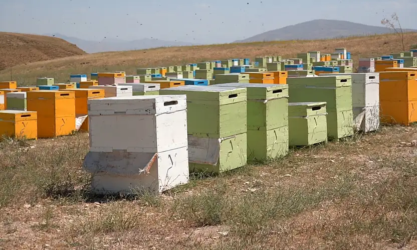 Siirt'te Arıcılara Kovan Desteği İçin Başvurular Başladı