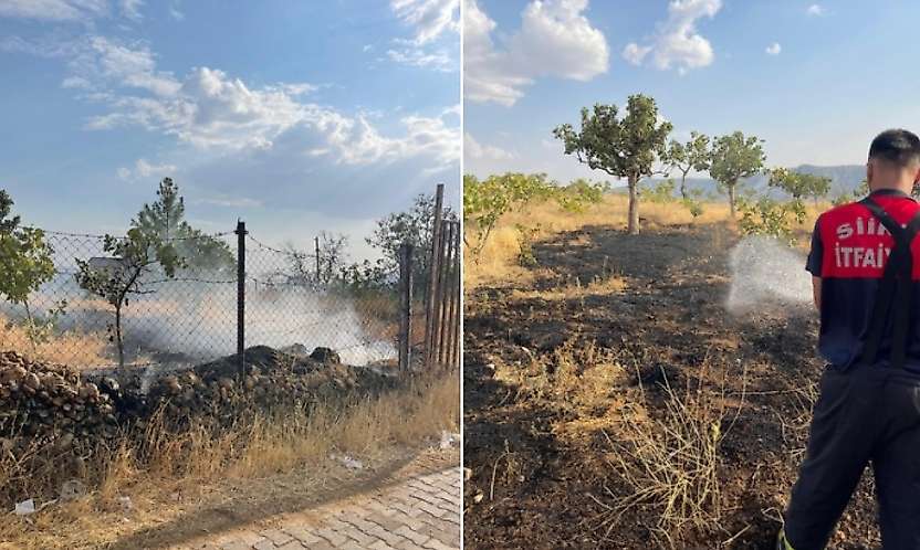 Siirt'te Bağ Yangını: 33 Fıstık Ağacı ve Çok Sayıda Meyve Ağacı Zarar Gördü