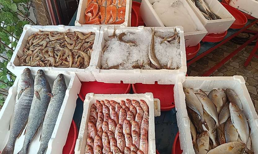 Siirt'te Balık Fiyatları Belli Oldu: Kış Yaklaşırken Talep Artıyor